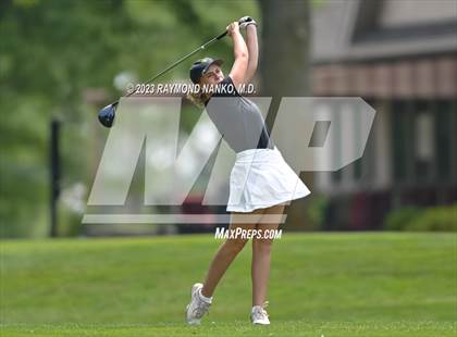 Thumbnail 2 in Lady Devil Invite photogallery.