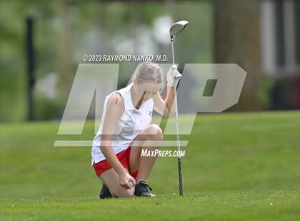 Thumbnail 3 in Lady Devil Invite photogallery.