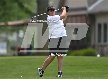 Thumbnail 3 in Lady Devil Invite photogallery.