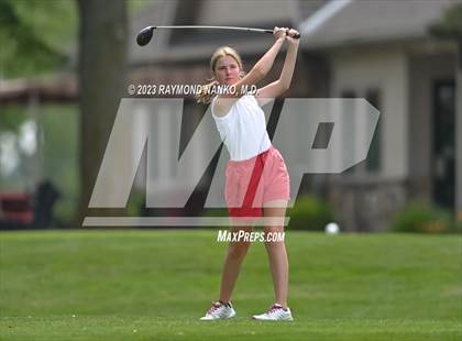 Thumbnail 3 in Lady Devil Invite photogallery.