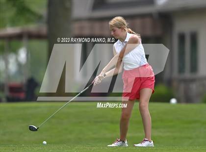 Thumbnail 2 in Lady Devil Invite photogallery.