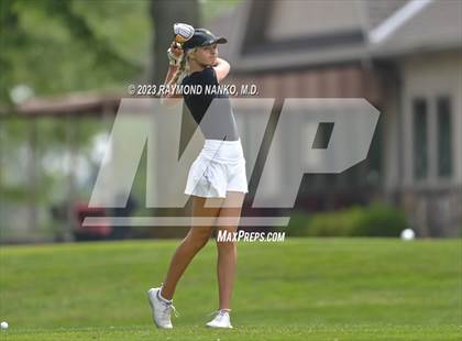 Thumbnail 2 in Lady Devil Invite photogallery.