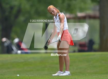 Thumbnail 1 in Lady Devil Invite photogallery.