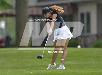 Thumbnail 2 in Lady Devil Invite photogallery.