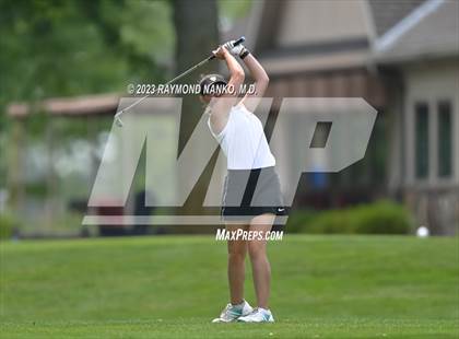 Thumbnail 3 in Lady Devil Invite photogallery.