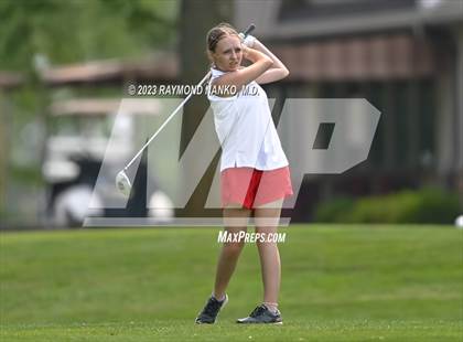 Thumbnail 1 in Lady Devil Invite photogallery.