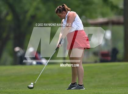 Thumbnail 3 in Lady Devil Invite photogallery.