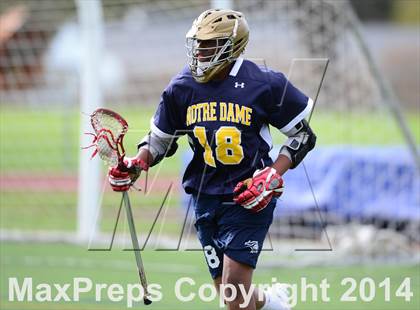 Thumbnail 2 in Notre Dame Catholic @ Rocky Hill photogallery.