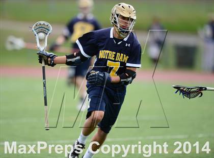 Thumbnail 3 in Notre Dame Catholic @ Rocky Hill photogallery.