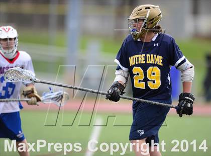 Thumbnail 3 in Notre Dame Catholic @ Rocky Hill photogallery.