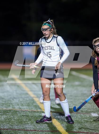Thumbnail 3 in Mendon vs. Vestal (NYSPHSAA Class B Semifinal) photogallery.