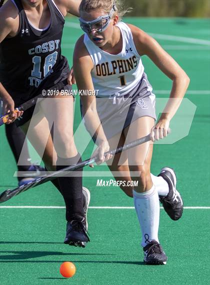 Thumbnail 3 in Cosby @ Ocean Lakes photogallery.