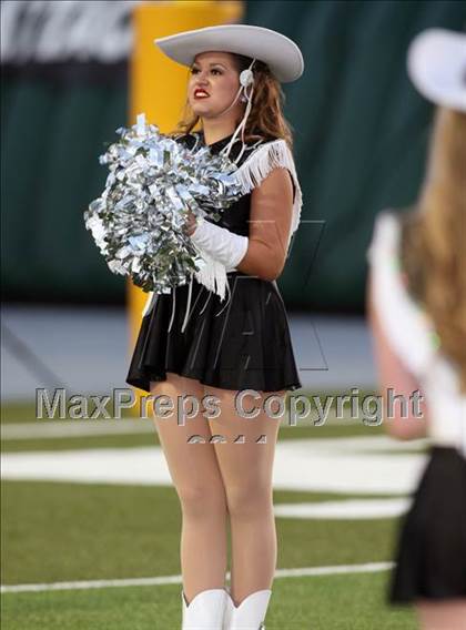 Thumbnail 3 in Vandegrift @ Cedar Park photogallery.