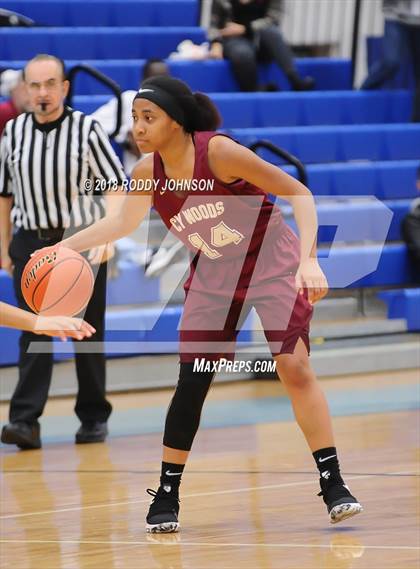 Thumbnail 3 in Cypress Woods vs. Pasadena Memorial (McDonald's Texas Invitational) photogallery.