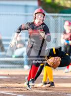 Photo from the gallery "Terra Nova @ Aragon"