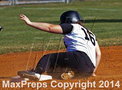 Thumbnail 2 in White Oak @ Havelock photogallery.