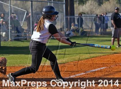 Thumbnail 3 in White Oak @ Havelock photogallery.