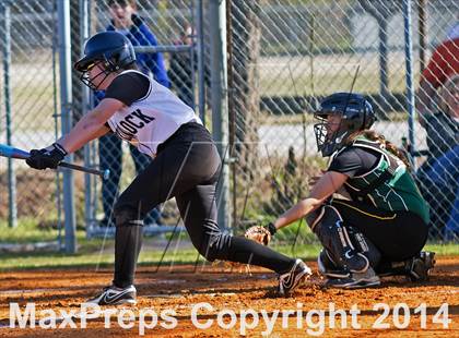 Thumbnail 1 in White Oak @ Havelock photogallery.