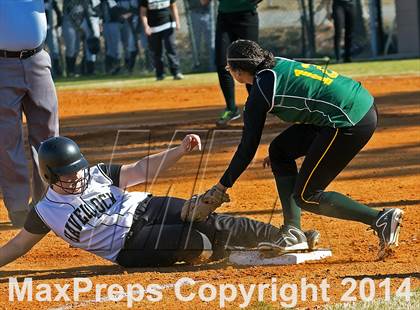 Thumbnail 2 in White Oak @ Havelock photogallery.