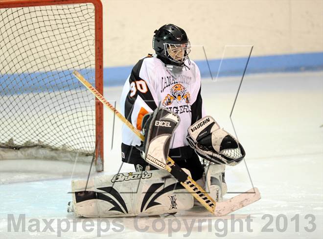 null - Photo 41