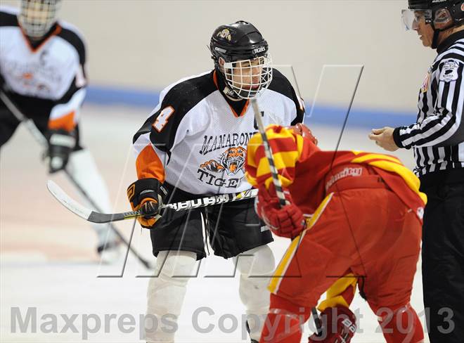 null - Photo 21