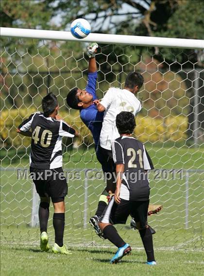 Thumbnail 1 in Millennium vs Enochs (Timberwolves Cup) photogallery.