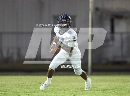 Thumbnail 2 in Ribault @ ED White photogallery.