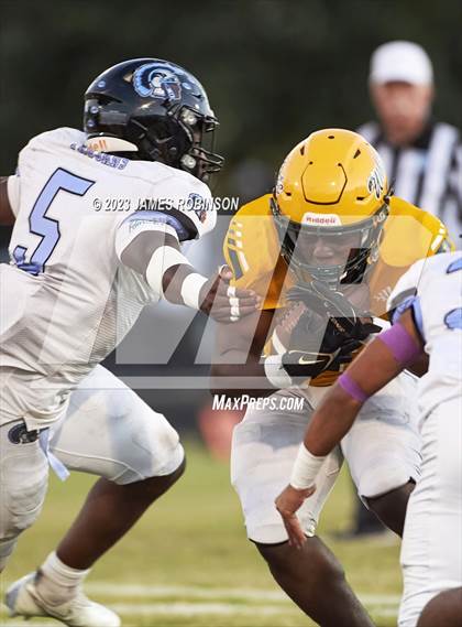 Thumbnail 3 in Ribault @ ED White photogallery.