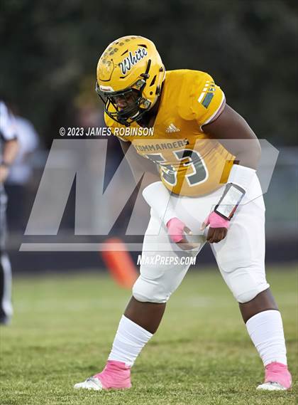 Thumbnail 3 in Ribault @ ED White photogallery.