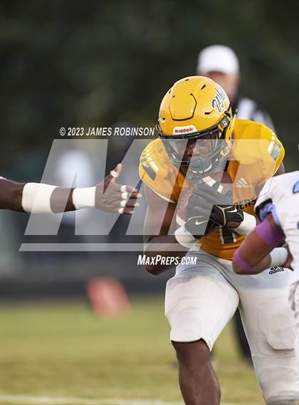 Thumbnail 2 in Ribault @ ED White photogallery.