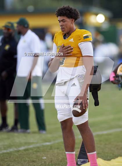 Thumbnail 1 in Ribault @ ED White photogallery.