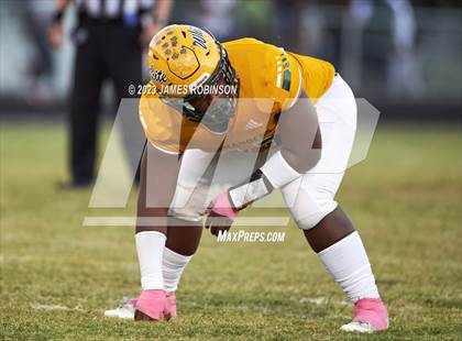Thumbnail 2 in Ribault @ ED White photogallery.