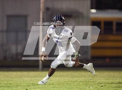 Thumbnail 1 in Ribault @ ED White photogallery.