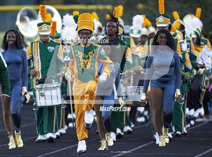 Thumbnail 3 in Ribault @ ED White photogallery.