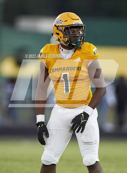 Thumbnail 1 in Ribault @ ED White photogallery.
