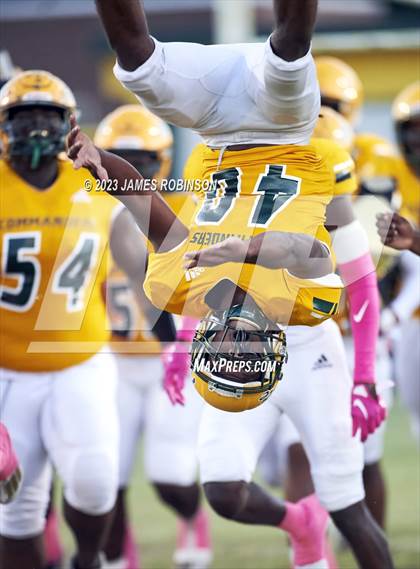 Thumbnail 3 in Ribault @ ED White photogallery.