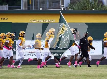 Thumbnail 3 in Ribault @ ED White photogallery.