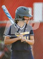 Photo from the gallery "Monache @ Fowler (CIF CS Division III Round 3 Playoff)"