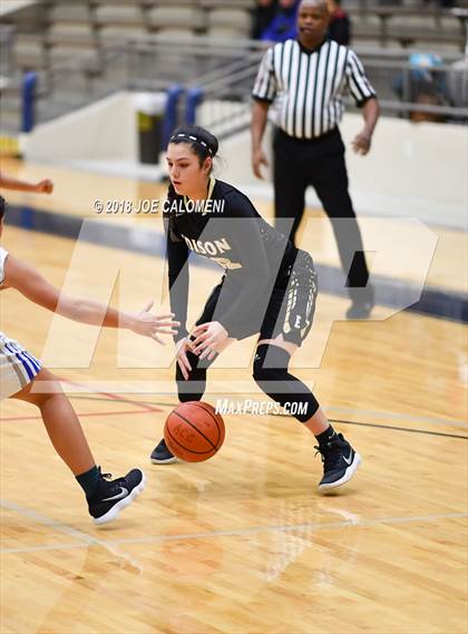 Thumbnail 2 in Edison [Thomas A.] vs Lanier [Sidney] photogallery.