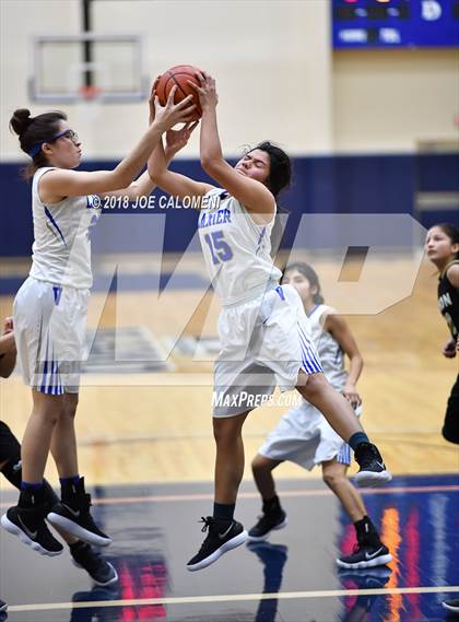 Thumbnail 2 in Edison [Thomas A.] vs Lanier [Sidney] photogallery.