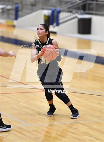 Thumbnail 3 in Edison [Thomas A.] vs Lanier [Sidney] photogallery.