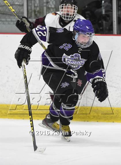 Thumbnail 3 in North Branford @ North Haven photogallery.