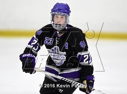 Thumbnail 3 in North Branford @ North Haven photogallery.