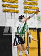 Photo from the gallery "Bear Creek @ Littleton Public Schools"