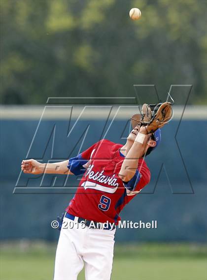 Thumbnail 2 in Soddy Daisy @ Vestavia Hills photogallery.