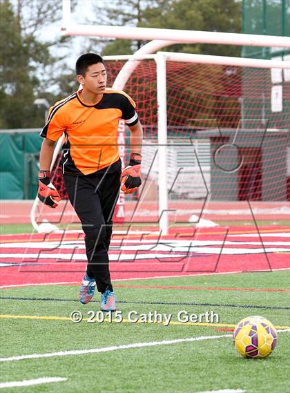 Thumbnail 3 in Lynbrook @ Saratoga photogallery.