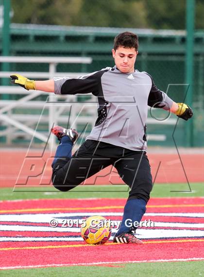 Thumbnail 3 in Lynbrook @ Saratoga photogallery.
