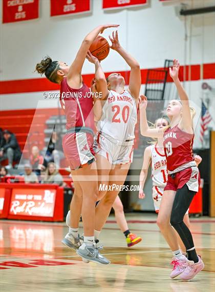 Thumbnail 1 in Newark @ Palmyra-Macedon (NYSPHSAA Section V Class B1 Quarterfinals) photogallery.