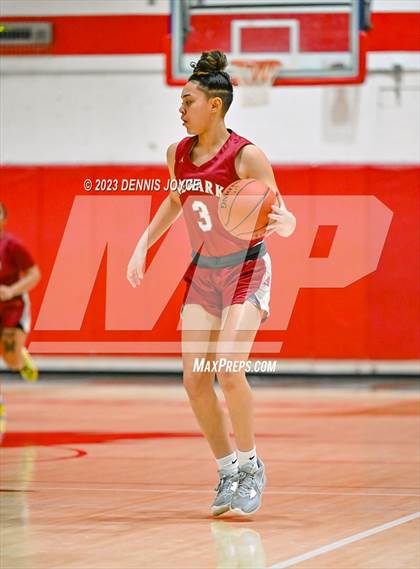 Thumbnail 2 in Newark @ Palmyra-Macedon (NYSPHSAA Section V Class B1 Quarterfinals) photogallery.