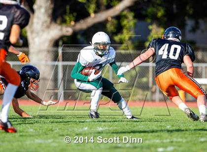Thumbnail 2 in JV: Palo Alto @ Los Gatos photogallery.